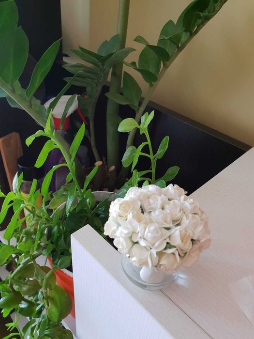 Сватбени подаръци за гости 1 лв/бр.