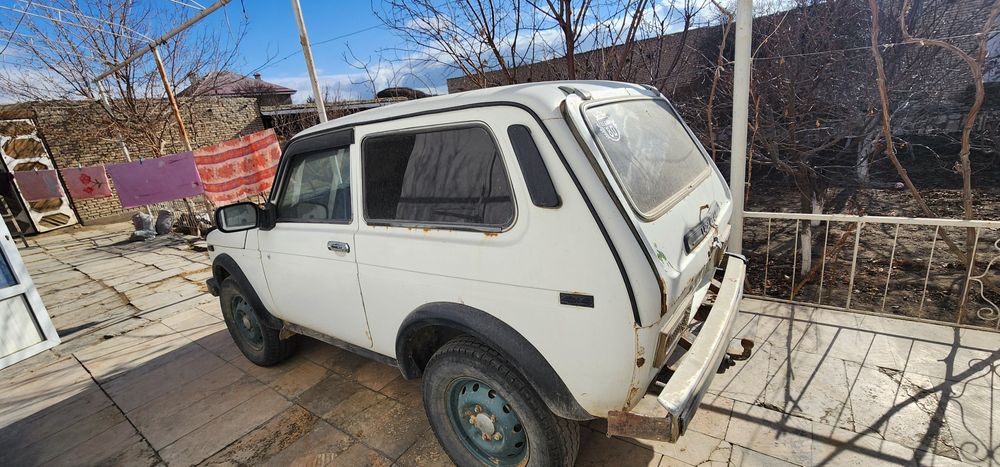 Niva sotiladi. Holati ideal