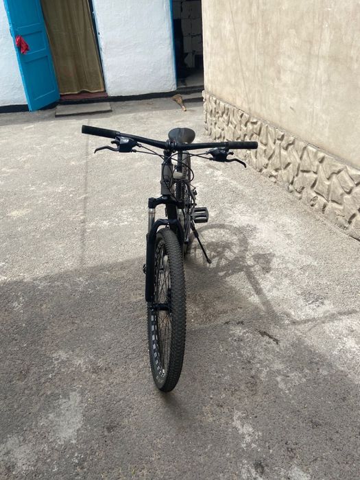 Тианс стан велик