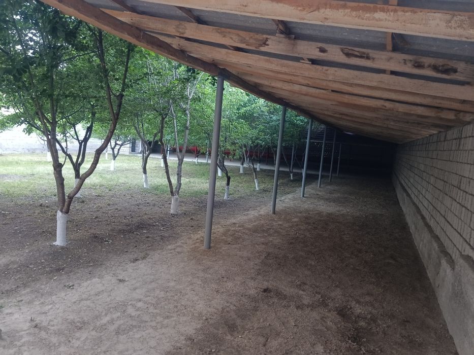 Uchastka sotiladi srochna