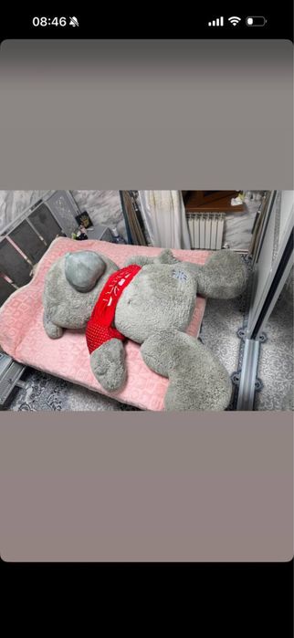 Taddy teddy sotiladi