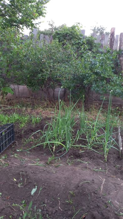 Продается ДАЧА!!!