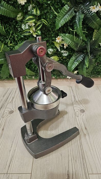 Storcător profesional de fructe