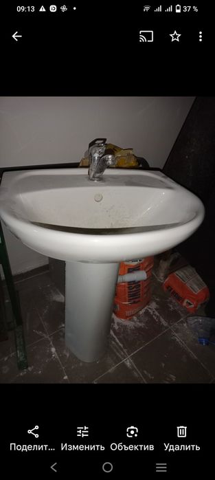 Раковина. Тюльпан