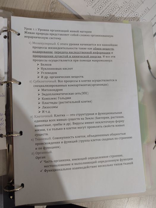 Файл, блокнот и тд. Множество назначений