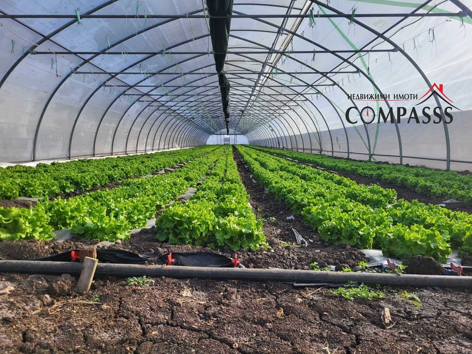 Продава се Склад в с. Генерал Колево, Област Добрич - 13000 кв.м за 20 €/кв.м - Снимка #1