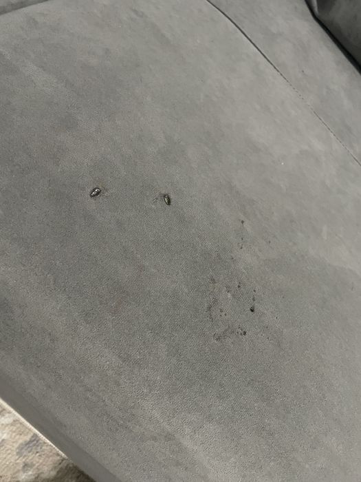 Диван 60х284х140