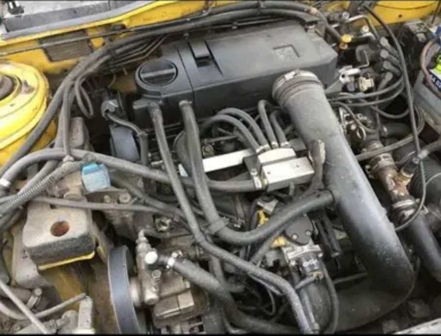 ЛУЧШИЙ. Iran khondo samand