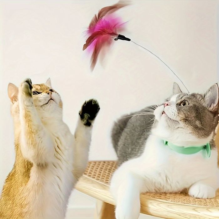 Каишка с играчка с пера за котки