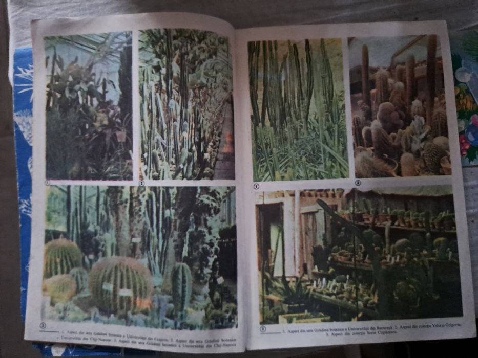 Carte Micii Gradinari de Marin Sorescu