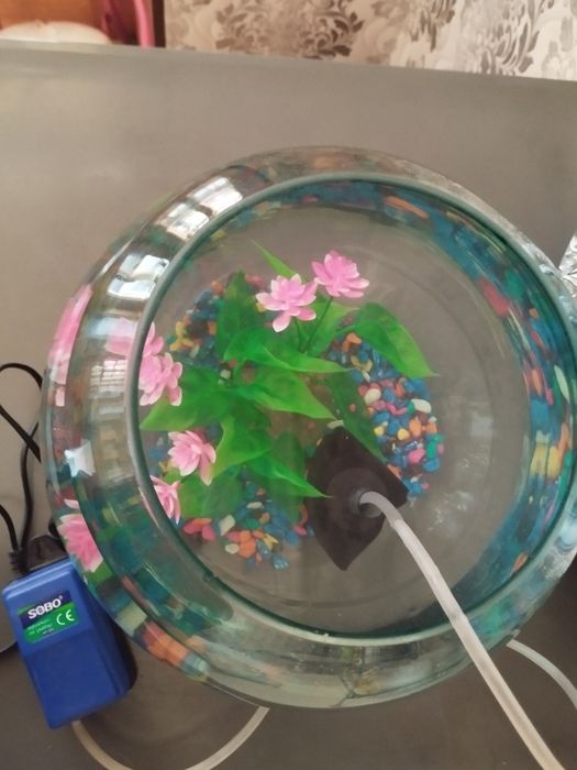 Аквариум круглый 10 литр