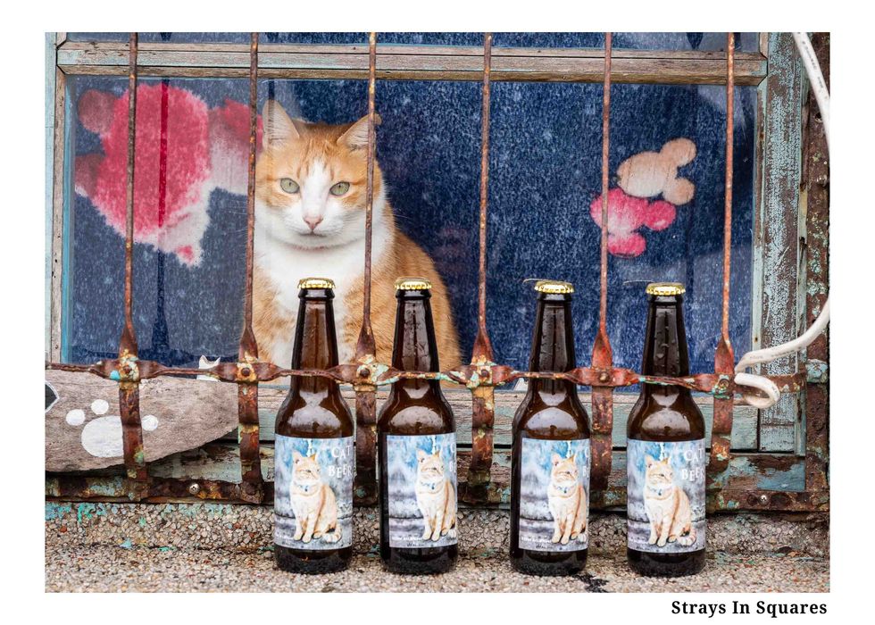 Стикери с Кауза: Бездомите Животни