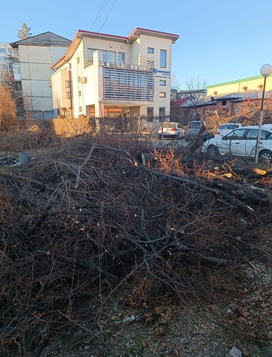 Eliberăm apartamente, curți și garaje | Ridicare mobilă, moloz și deșeuri