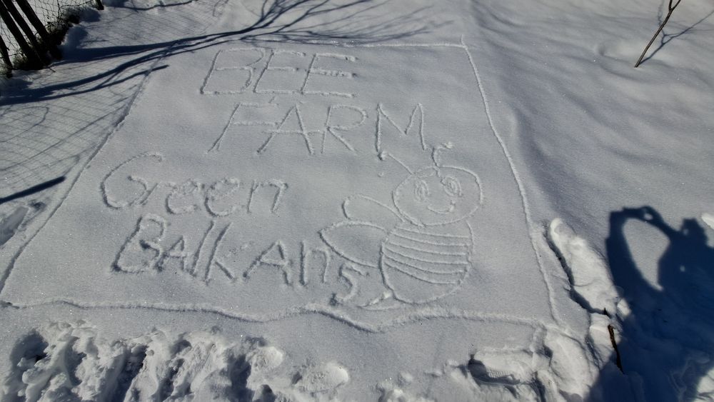 Апи Терапия с кошерен въздух