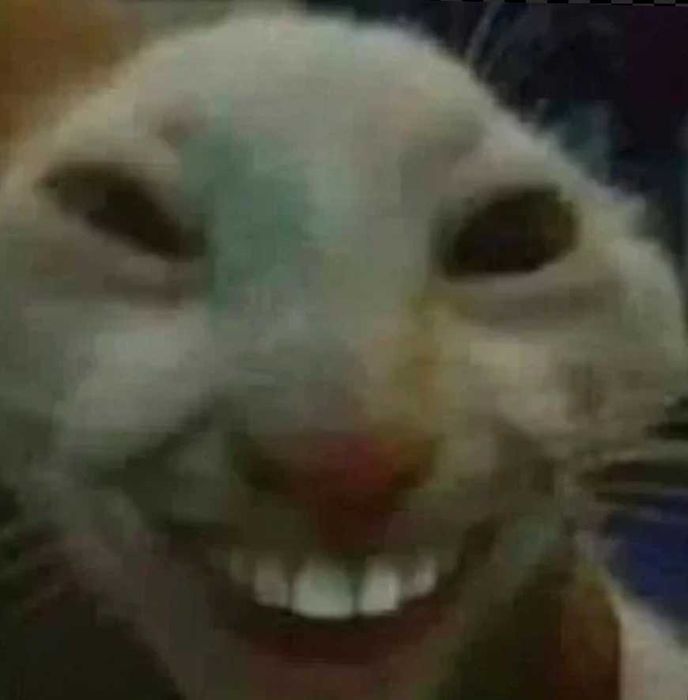Doda mushu muloyim