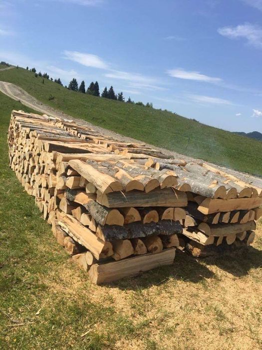 Lemn foc fag crepate