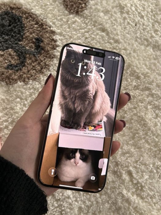 iPhone 16 Pro Max 256 GB, 100% baterie