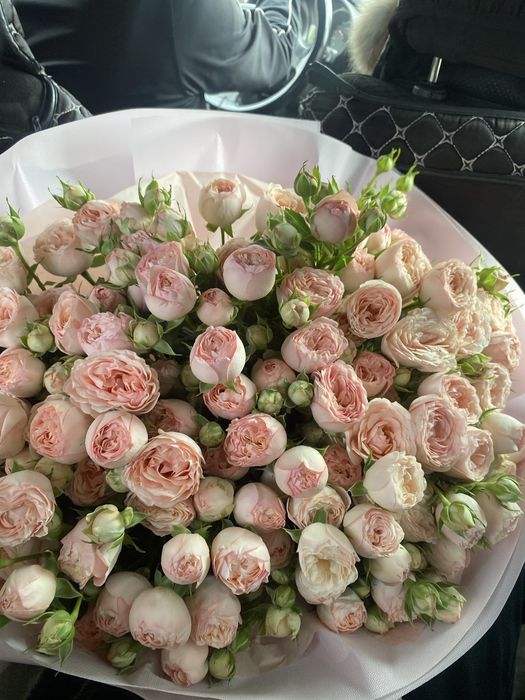 Кустовые розы большой