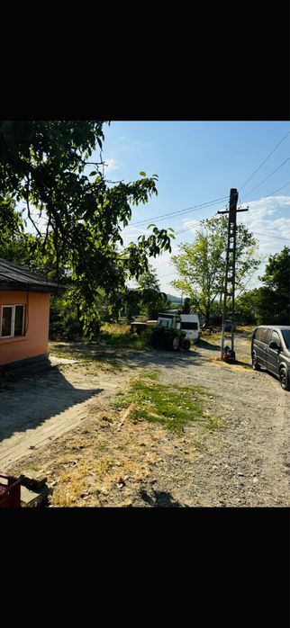 Vand Afacere Ferma zona rasova constanta plantatie bio 107 ha