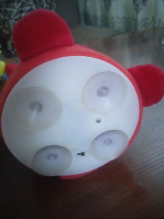 Продам кальмара музыкального.