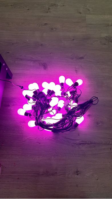 Kit Lepro Smart LED
