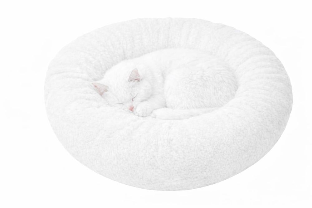 Culcuș Pufos Pentru Pisici Si Câini De Talie Mica