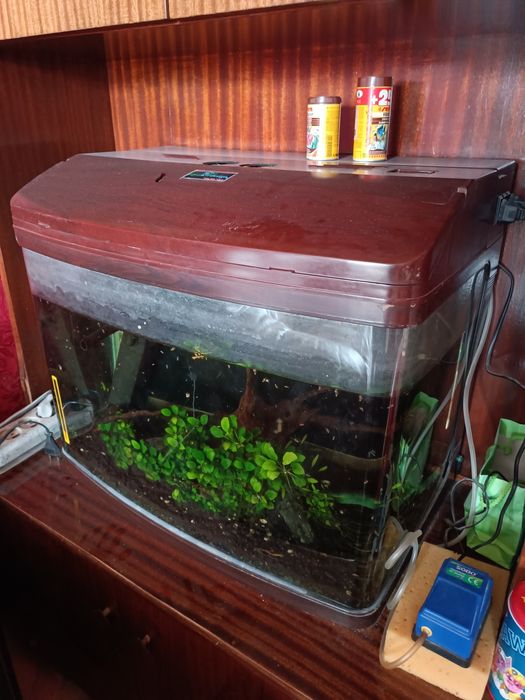 Аквариум 80 литра