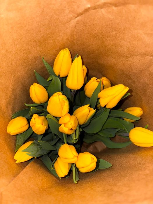 Тюльпаны оптом и в розницу