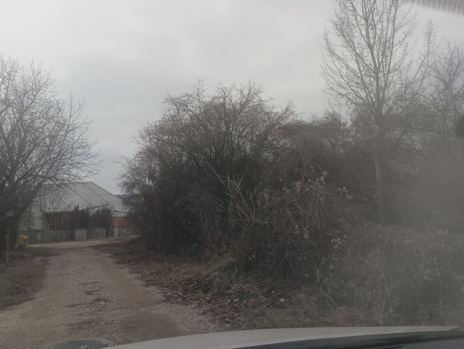 Почистване на парцели дворове и запустели имоти