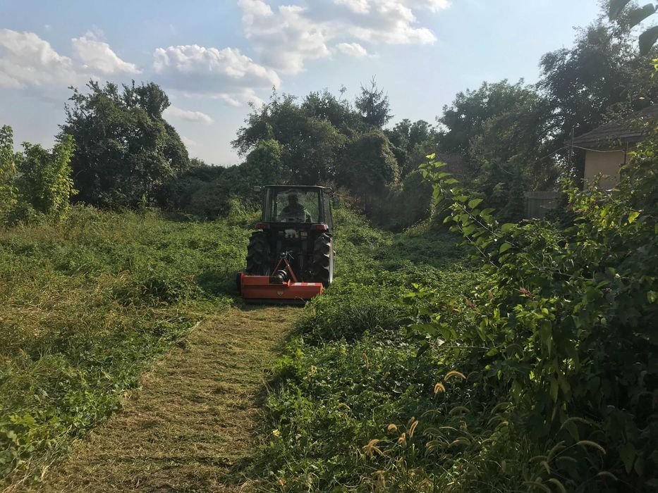 Curatare teren de vegetatie : ambrozie, arbusti, buruieni, maracini