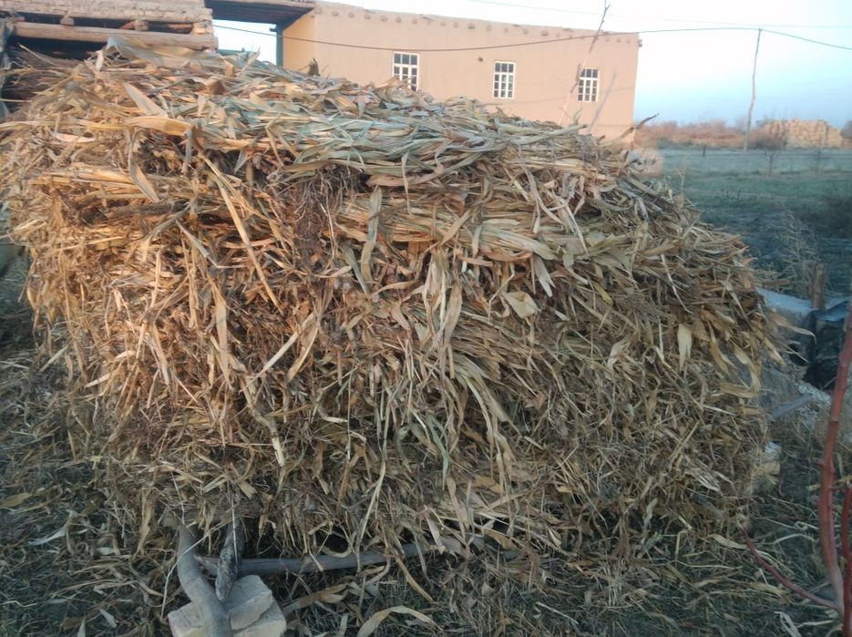 Макка сотилади боглаб куйилган кумкук