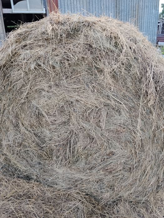 Продам сено в тюках