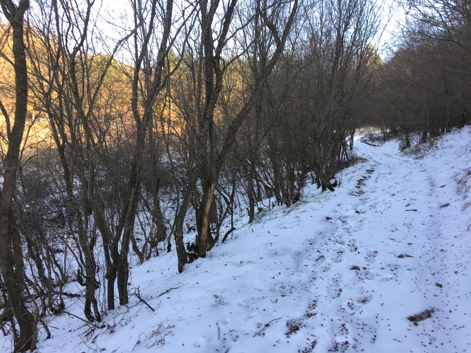 Продава се Къща в с. Батово, Област Добрич - 204 кв.м за 417 €/кв.м - Снимка #10