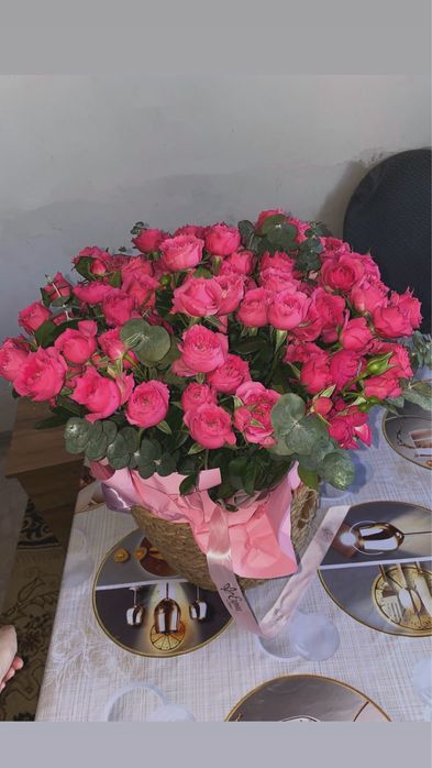 Гүлл солмаған бүгін келген