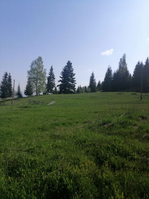 Vând teren intravilan.