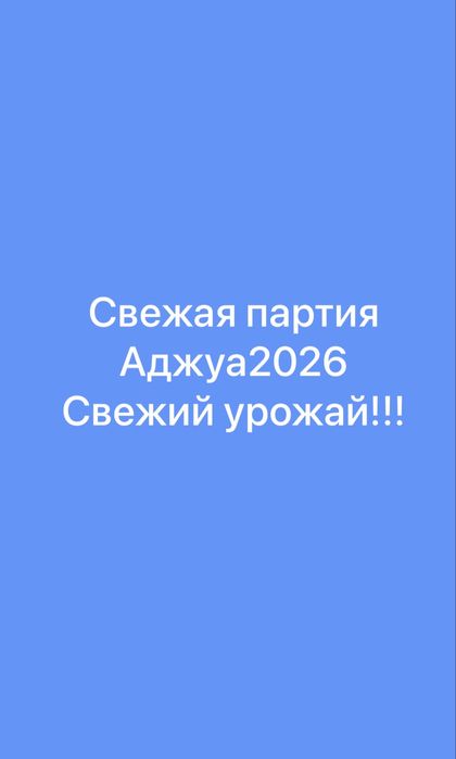 Продажа суккари и аджуа