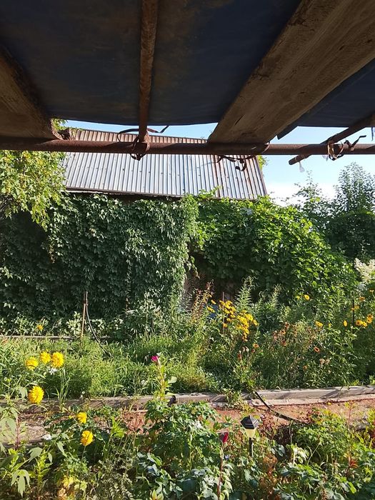 Продам дачу ! Общество Союз