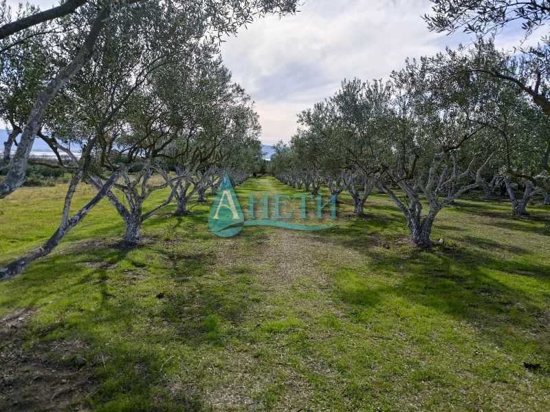 Продава се Парцел в София, Студентски град - 2000 кв.м за 6 €/кв.м - Снимка #3