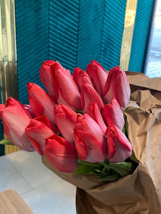 Тараз цветы Голландские тюльпаны