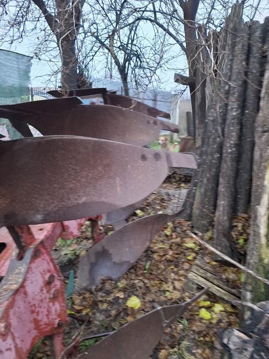 Disc românesc +plug  Krone