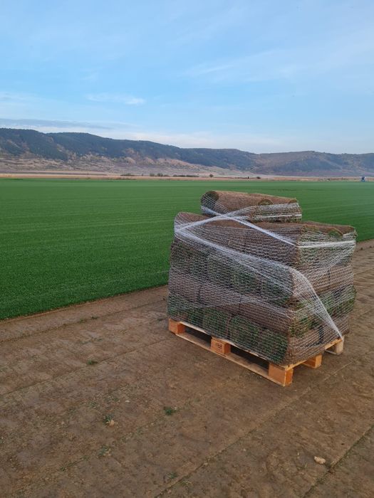 Gazon rulou și sistem de irigații