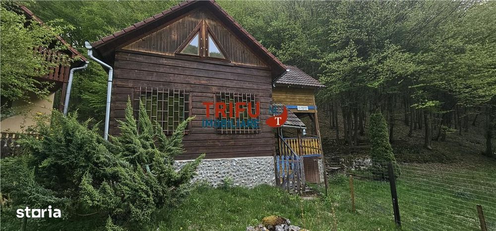 Casă de vacanță la pădure | Teren 891 mp | Valea Ighielului