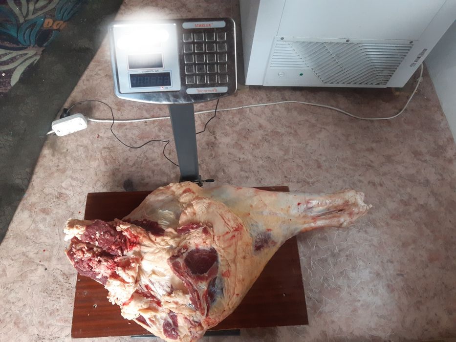 Жылқы ,сиыр еті сатылады!