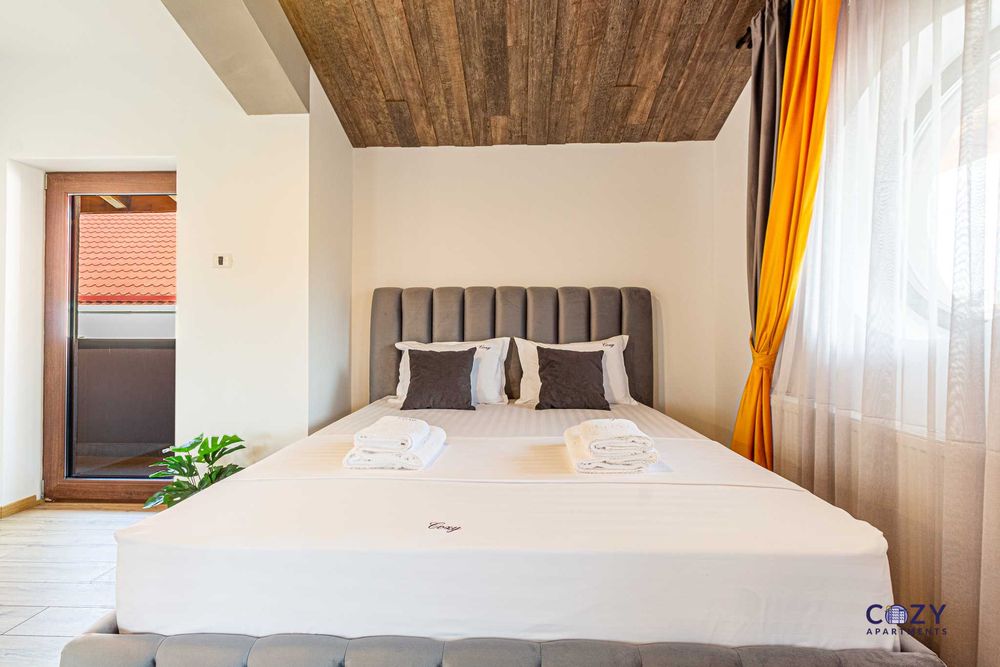 Cazare Regim H. Arad Apartamente de Lux - Servicii Profesionale