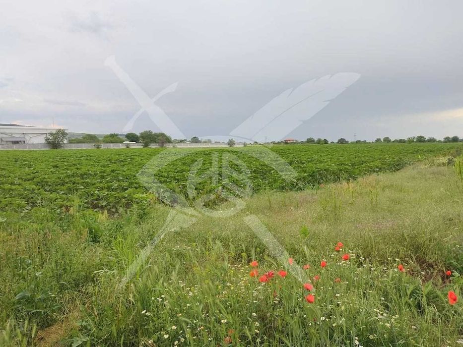 Земеделска земя в с.Марково 44751