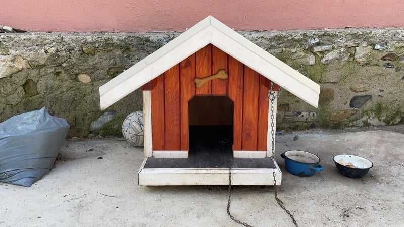 Кучешка къща масив