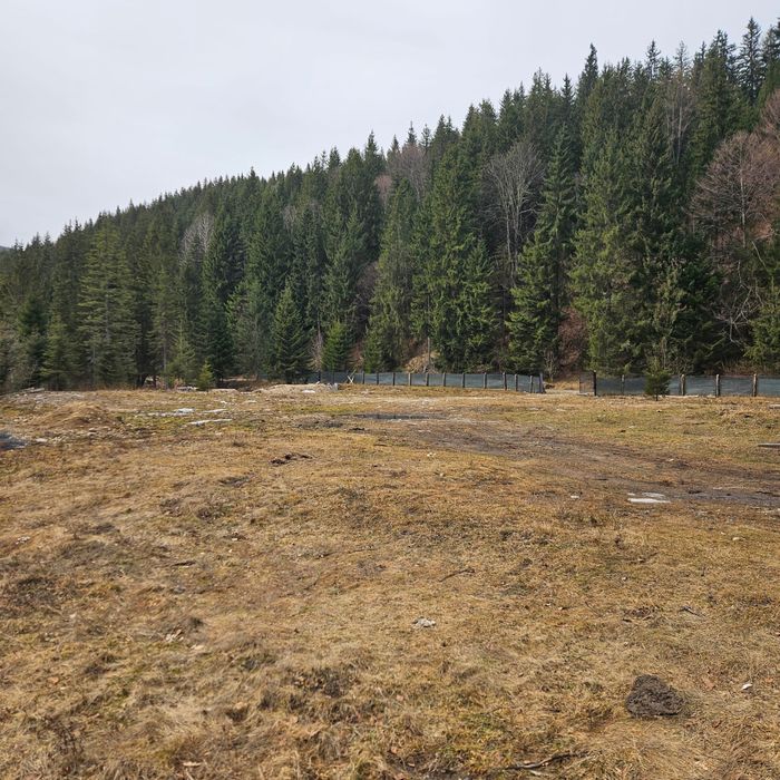 Vand teren in Craciuneasa, Gura-Râului