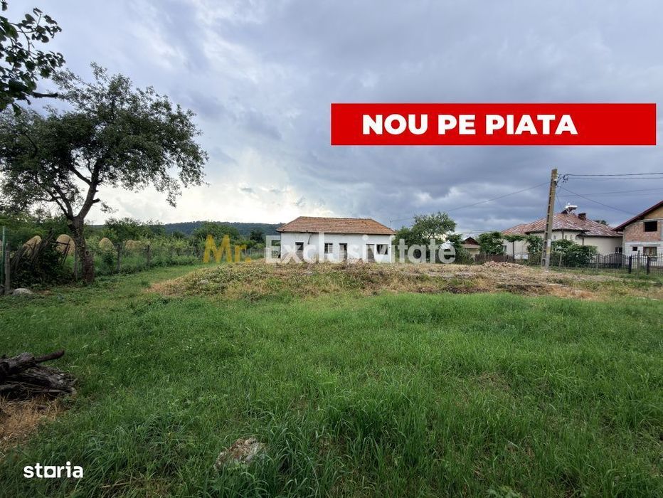 Teren intravilan–2.109 mp | Albești - Transfagarasan - Curtea de Arges