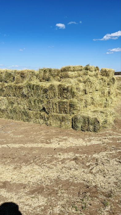 Тюки сено на продажу