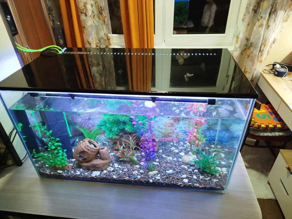 Аквариум на 100 литров